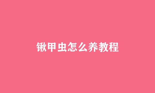 锹甲虫怎么养教程