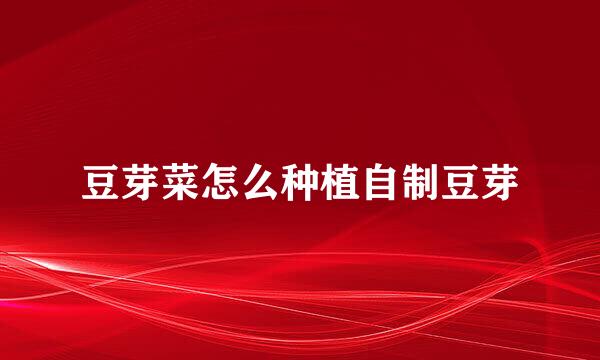 豆芽菜怎么种植自制豆芽