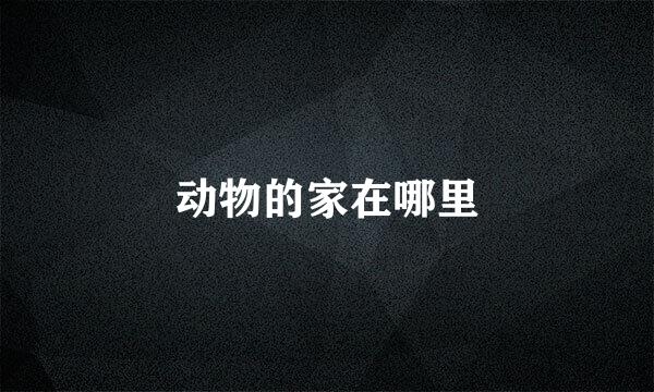 动物的家在哪里