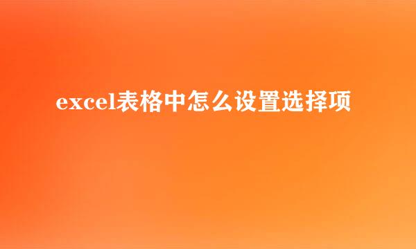 excel表格中怎么设置选择项