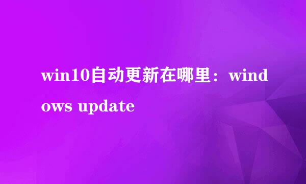 win10自动更新在哪里：windows update