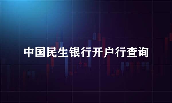 中国民生银行开户行查询