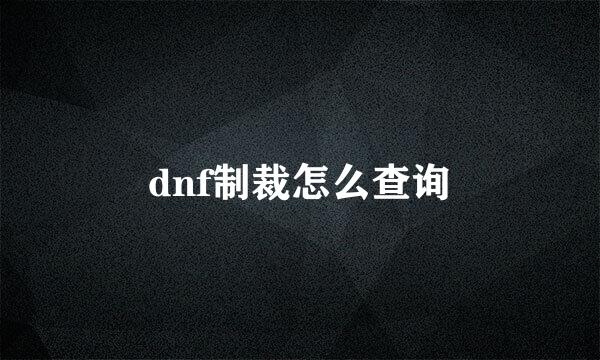 dnf制裁怎么查询