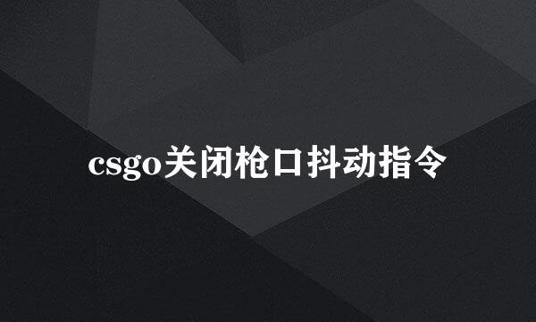 csgo关闭枪口抖动指令