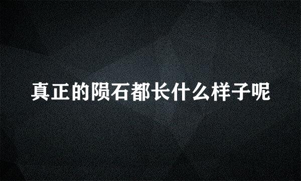 真正的陨石都长什么样子呢