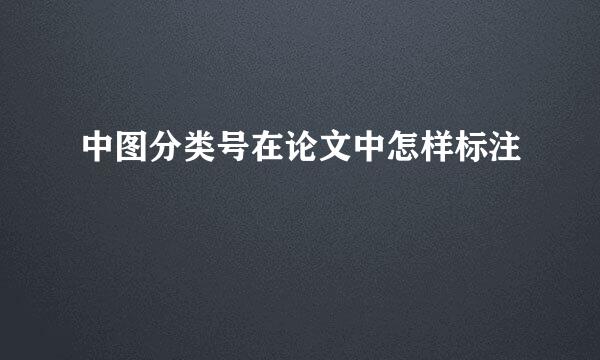 中图分类号在论文中怎样标注