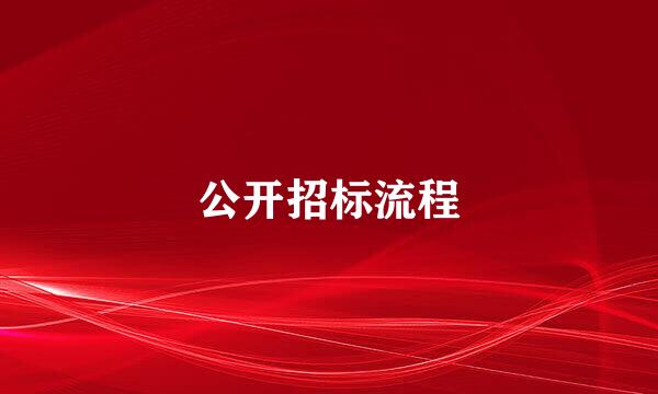 公开招标流程