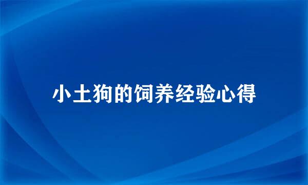 小土狗的饲养经验心得