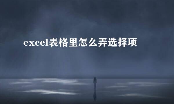 excel表格里怎么弄选择项