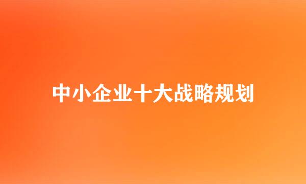 中小企业十大战略规划