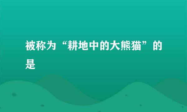 被称为“耕地中的大熊猫”的是