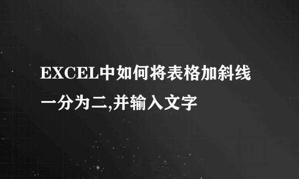 EXCEL中如何将表格加斜线一分为二,并输入文字