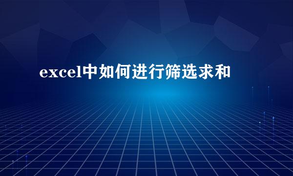 excel中如何进行筛选求和