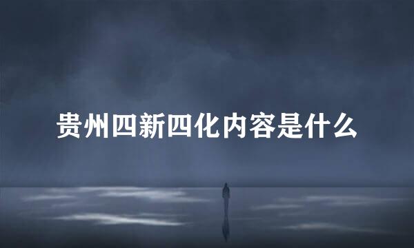 贵州四新四化内容是什么