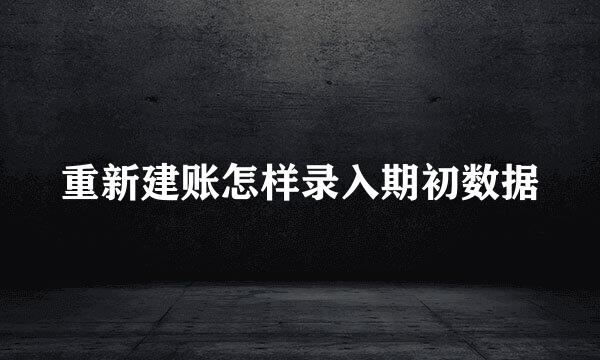 重新建账怎样录入期初数据