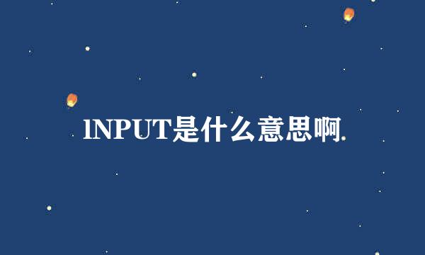 lNPUT是什么意思啊