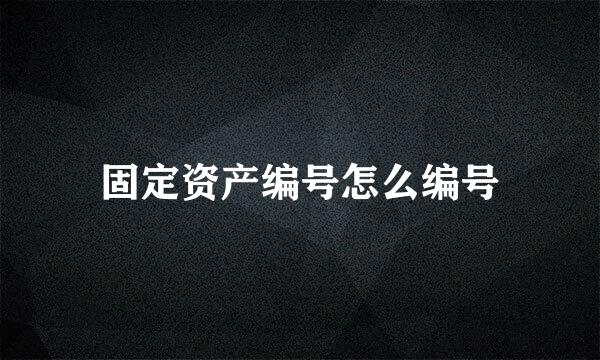 固定资产编号怎么编号