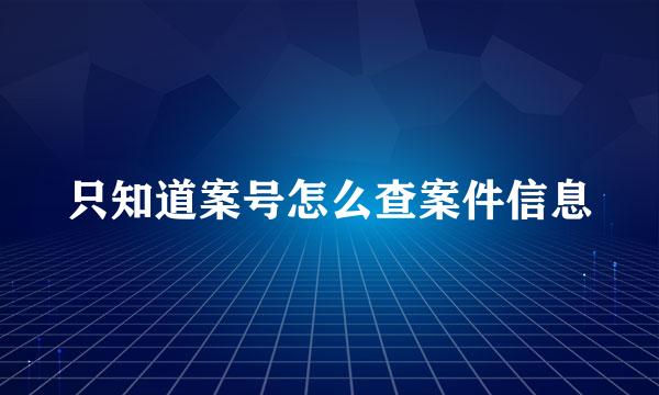 只知道案号怎么查案件信息
