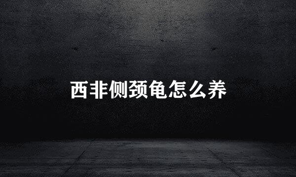 西非侧颈龟怎么养