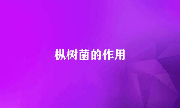 枞树菌的作用