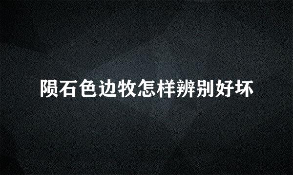 陨石色边牧怎样辨别好坏