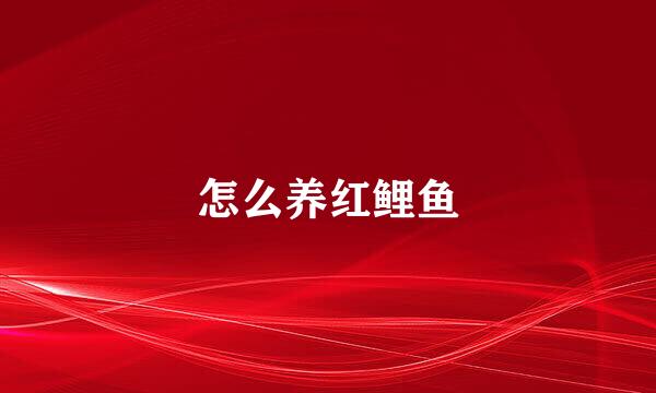 怎么养红鲤鱼