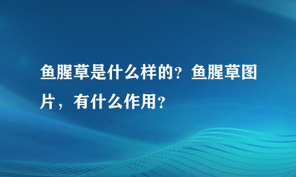 鱼腥草是什么样的？鱼腥草图片，有什么作用？