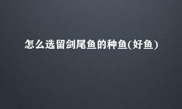 怎么选留剑尾鱼的种鱼(好鱼)