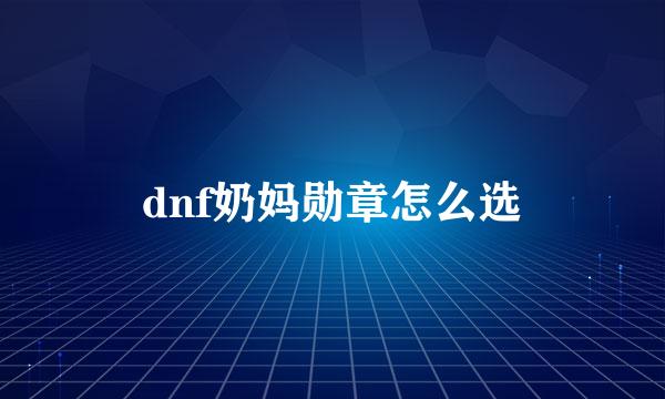 dnf奶妈勋章怎么选