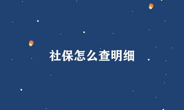 社保怎么查明细