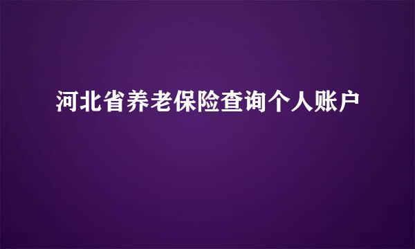 河北省养老保险查询个人账户