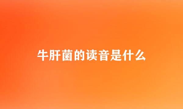 牛肝菌的读音是什么