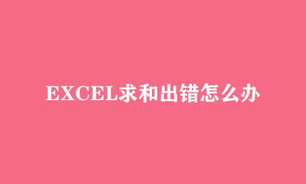 EXCEL求和出错怎么办