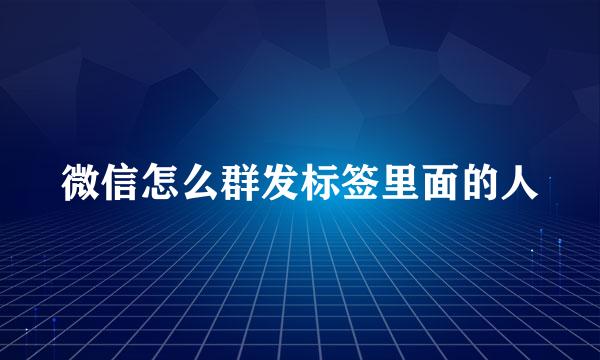 微信怎么群发标签里面的人
