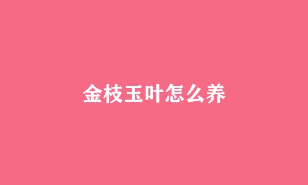金枝玉叶怎么养
