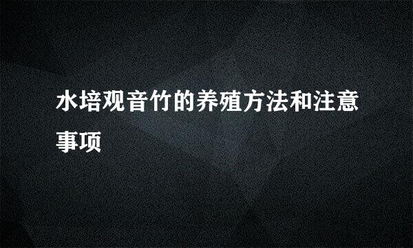 水培观音竹的养殖方法和注意事项