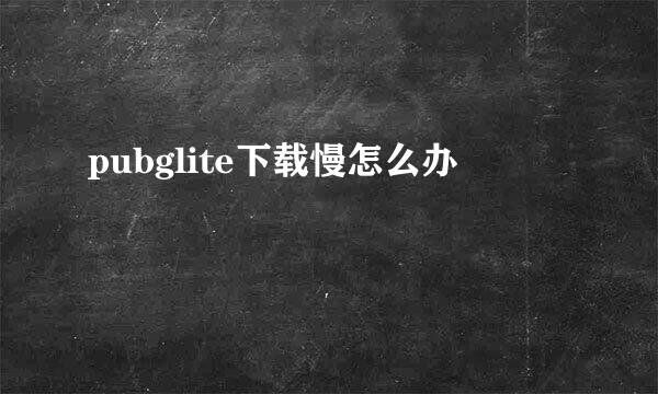 pubglite下载慢怎么办