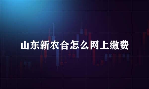山东新农合怎么网上缴费