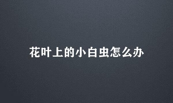 花叶上的小白虫怎么办