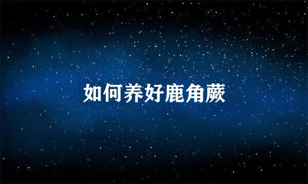 如何养好鹿角蕨