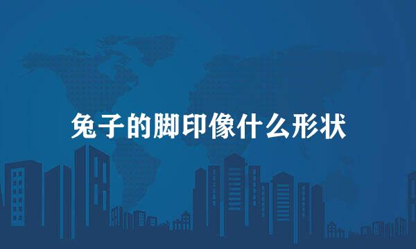 兔子的脚印像什么形状