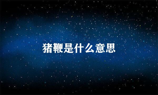 猪鞭是什么意思