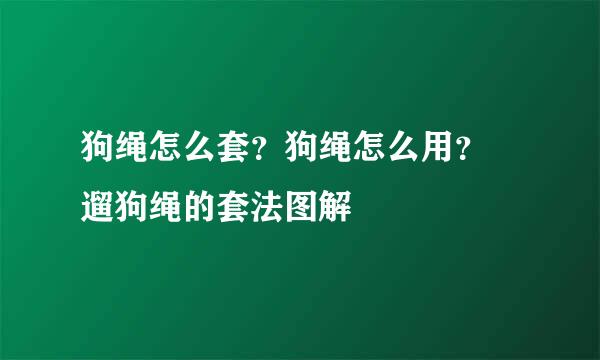 狗绳怎么套？狗绳怎么用？ 遛狗绳的套法图解