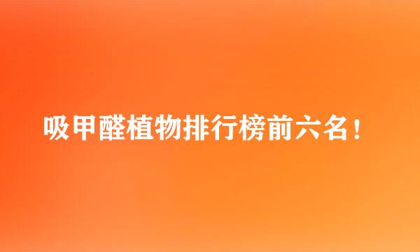 吸甲醛植物排行榜前六名！