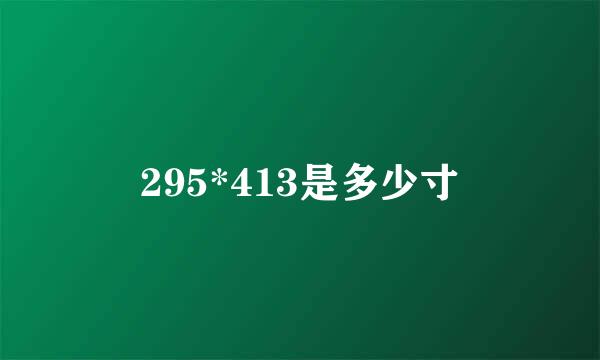 295*413是多少寸