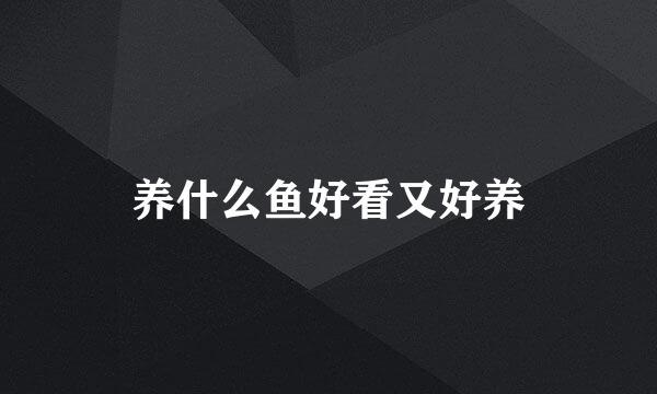 养什么鱼好看又好养