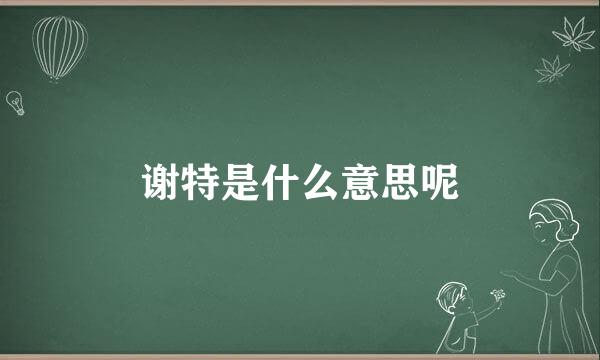 谢特是什么意思呢
