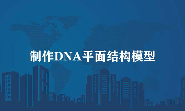 制作DNA平面结构模型
