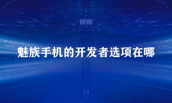 魅族手机的开发者选项在哪