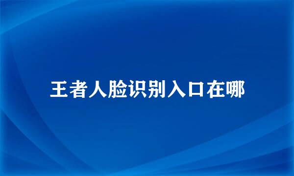 王者人脸识别入口在哪